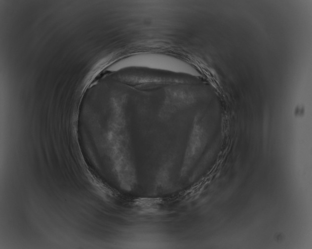 X0000095530051200801041255