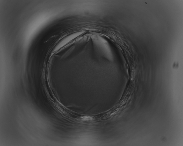 X0000095530052200801041255