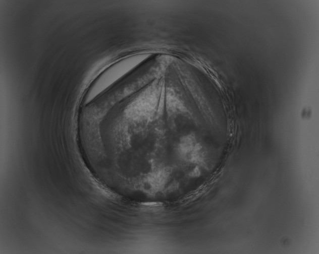 X0000095530053200801041255