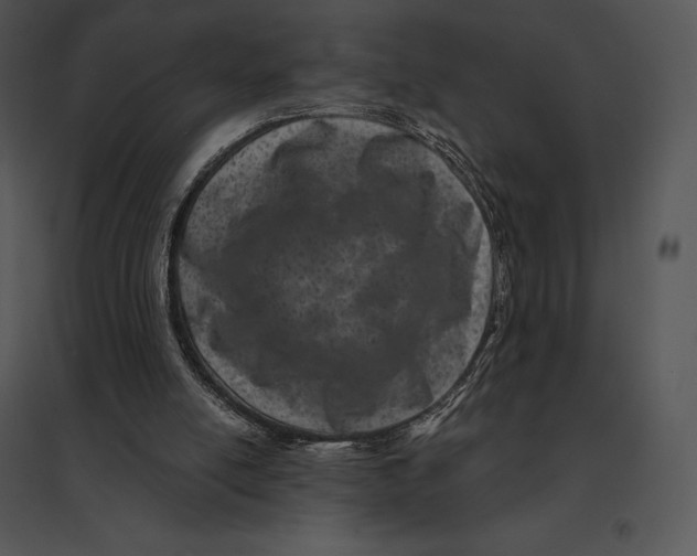 X0000095530054200801041255