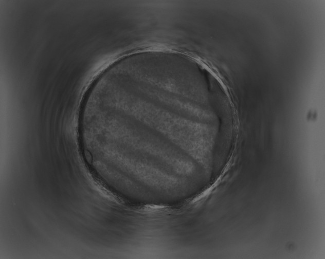 X0000095530055200801041255