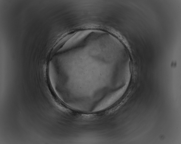 X0000095530057200801041255