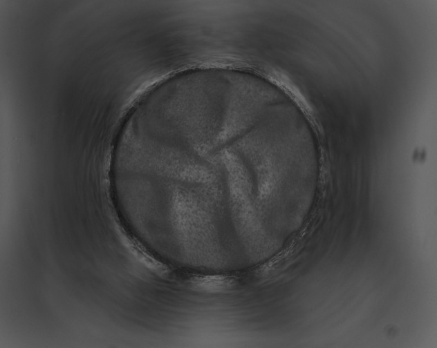 X0000095530058200801041255