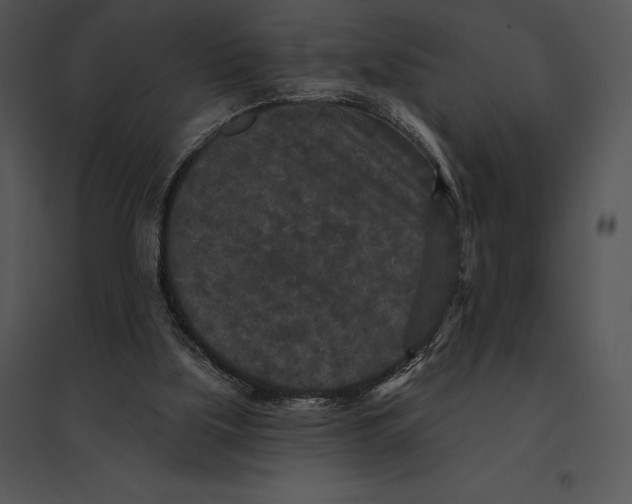 X0000095530059200801041255