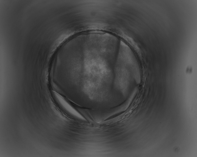 X0000095530060200801041255