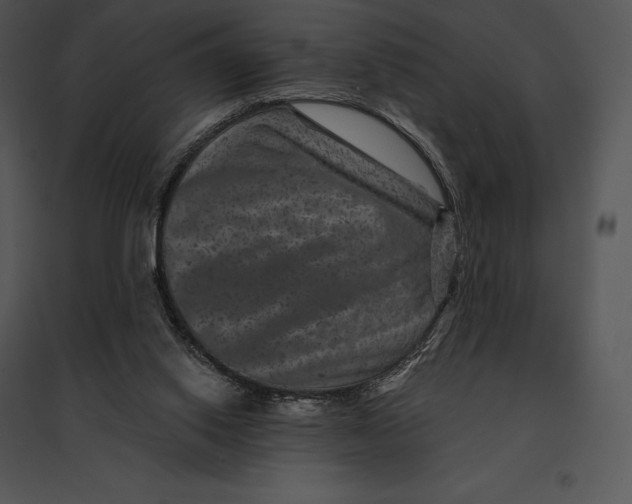 X0000095530062200801041256