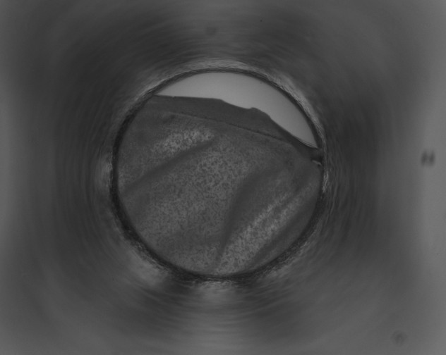 X0000095530063200801041256