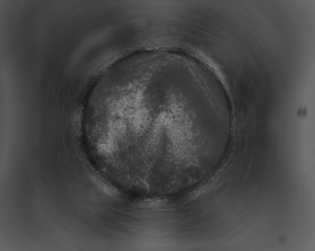 X0000095530065200801041256