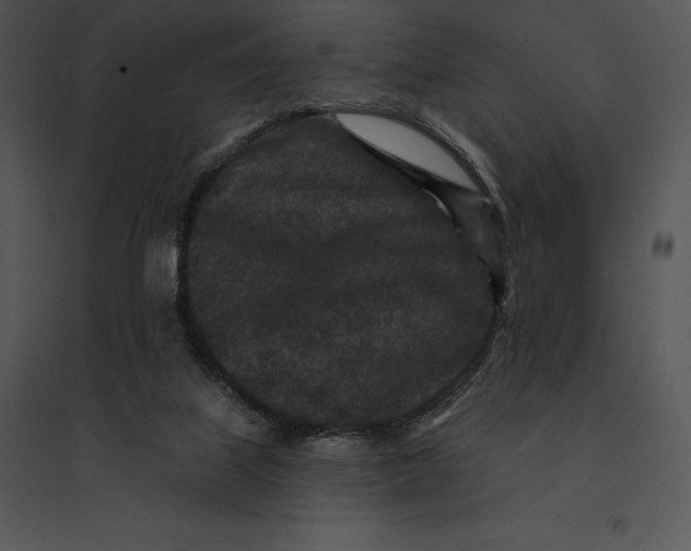 X0000095530067200801041256