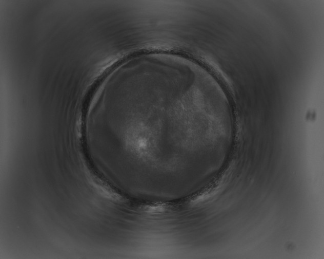 X0000095530068200801041256