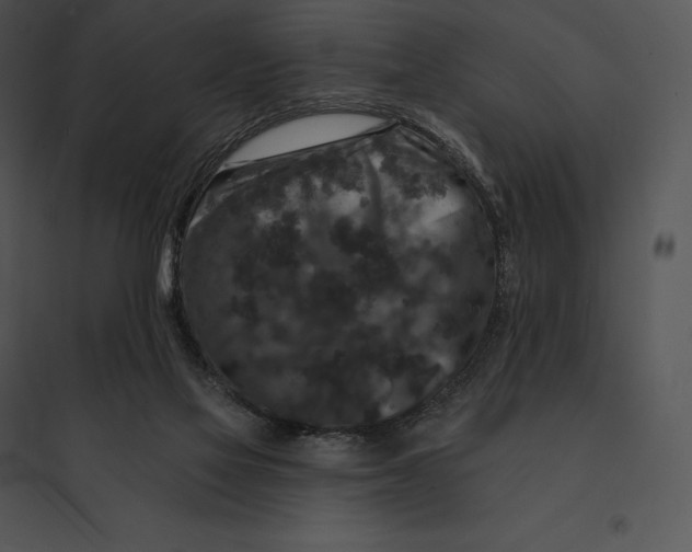 X0000095530069200801041256