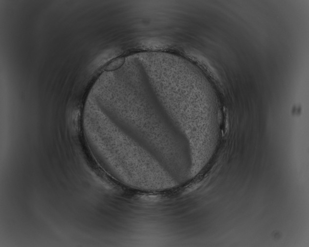 X0000095530071200801041256