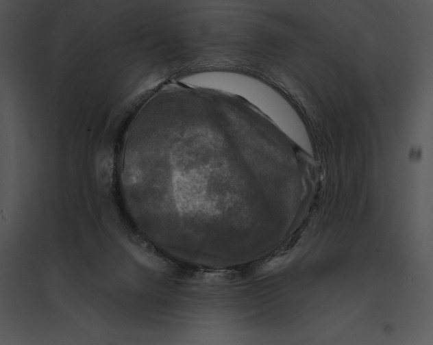 X0000095530072200801041256