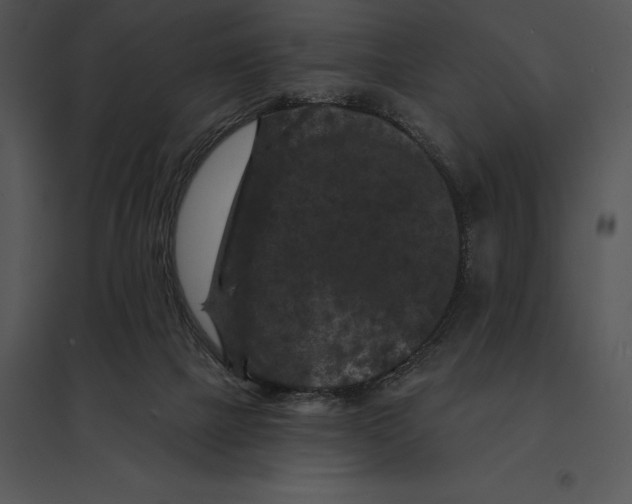 X0000095530073200801041256