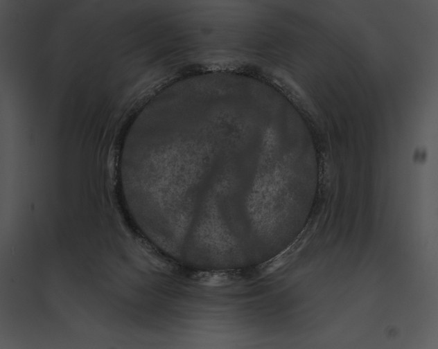 X0000095530074200801041256