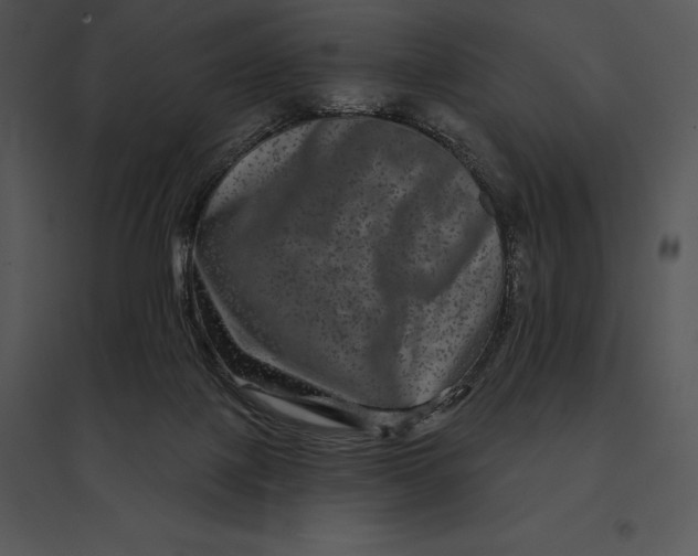 X0000095530075200801041256