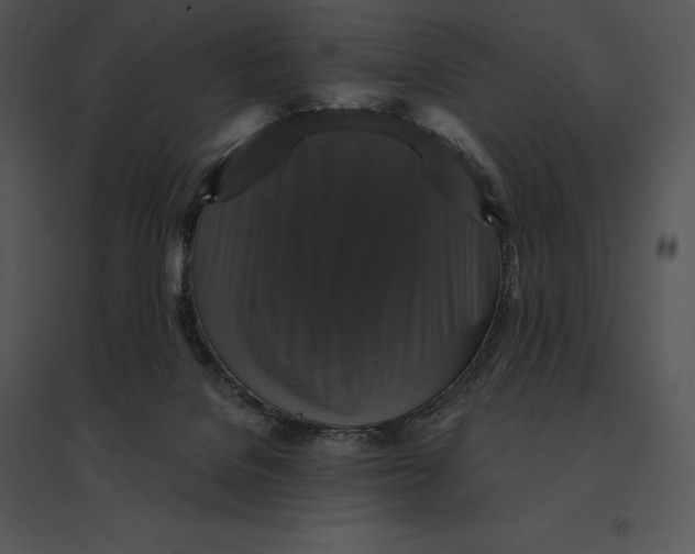 X0000095530076200801041256