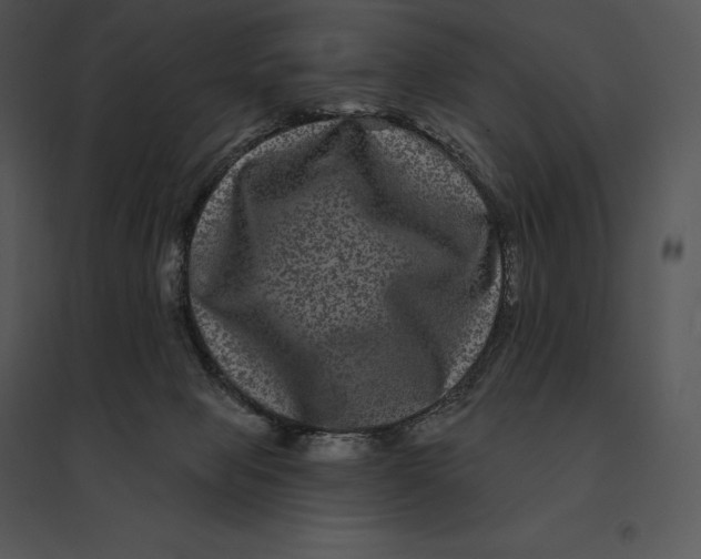 X0000095530077200801041256