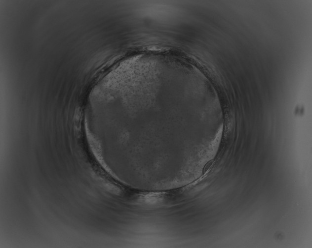 X0000095530078200801041256