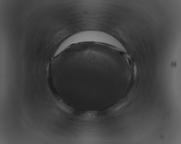 X0000095530080200801041256