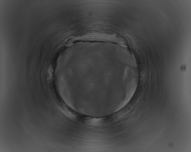 X0000095530081200801041256