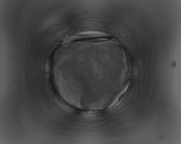 X0000095530082200801041256