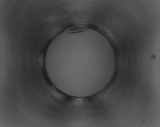 X0000095530083200801041256