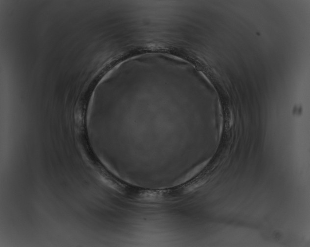 X0000095530084200801041256