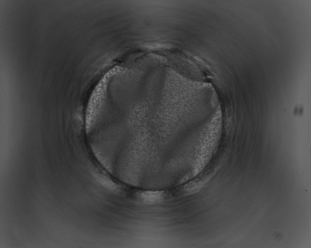 X0000095530085200801041256