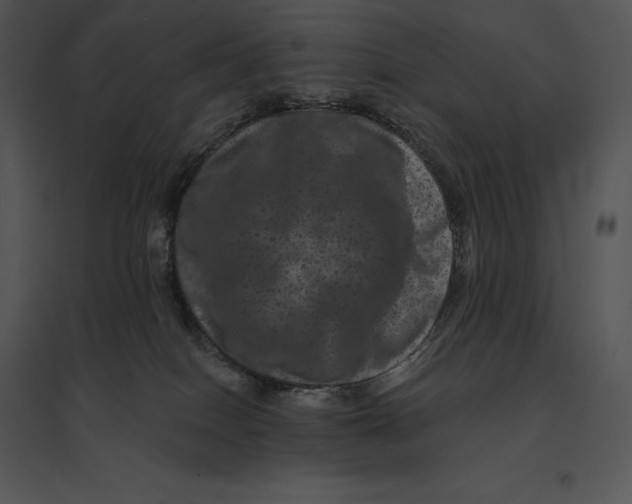 X0000095530086200801041256