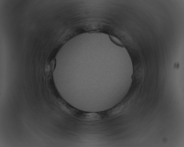 X0000095530087200801041256