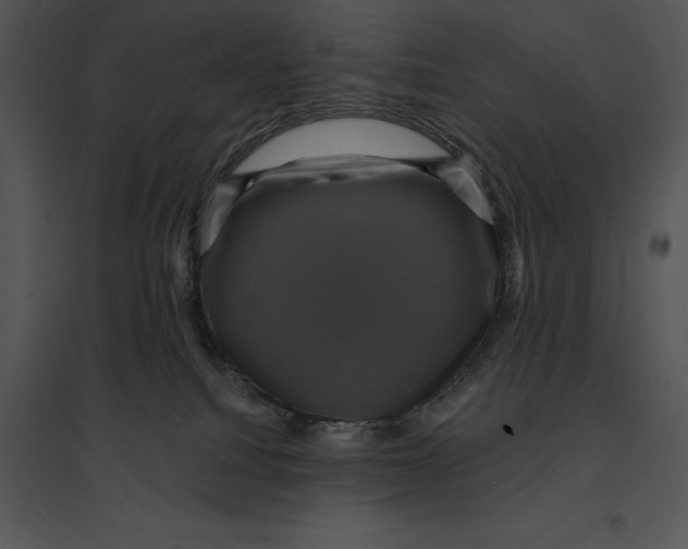 X0000095530088200801041256