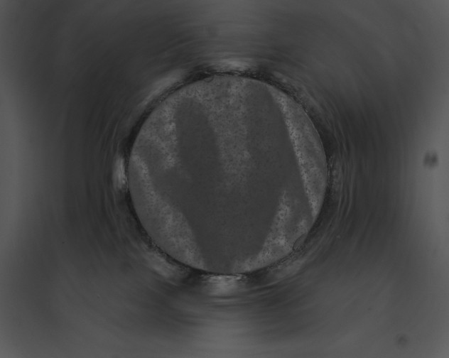 X0000095530089200801041256