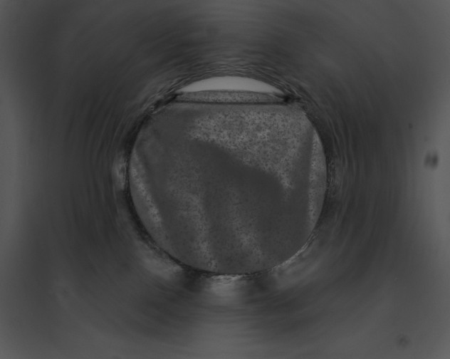 X0000095530090200801041256