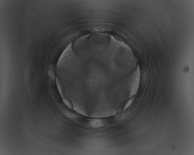 X0000095530091200801041256