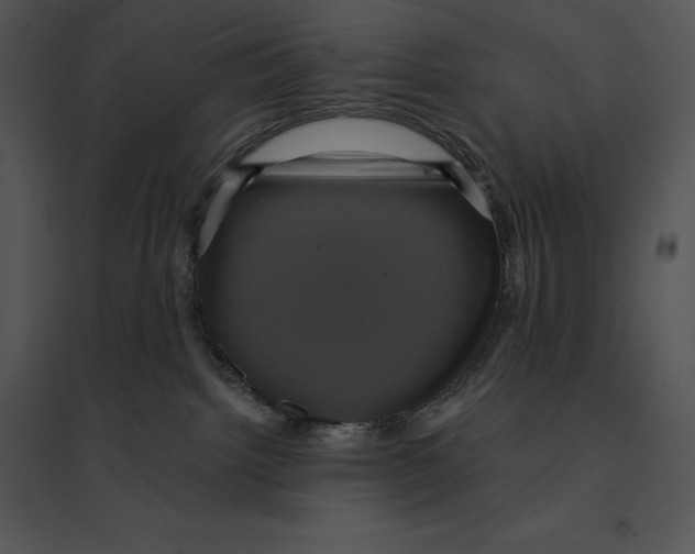 X0000095530092200801041256