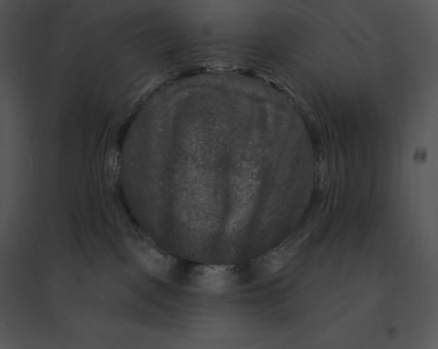 X0000095530093200801041256