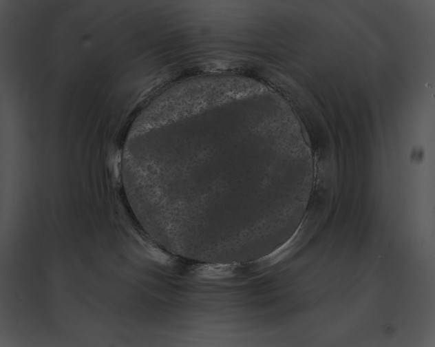 X0000095530094200801041256