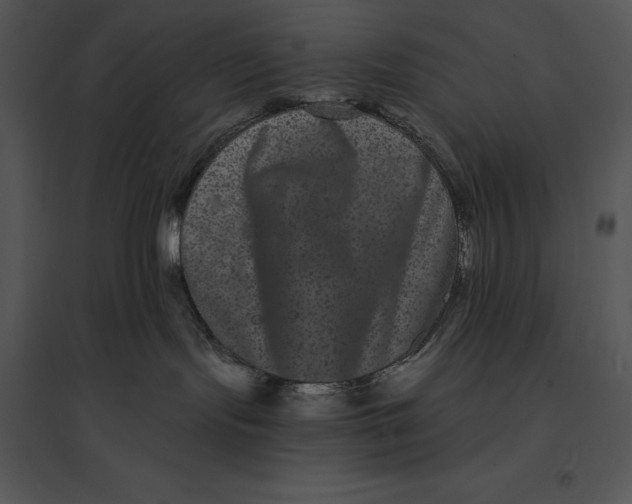 X0000095530095200801041256