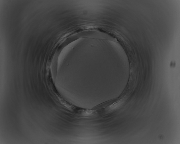 X0000095530096200801041256