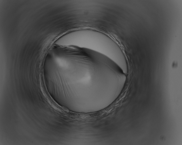 X0000095530097200801041255