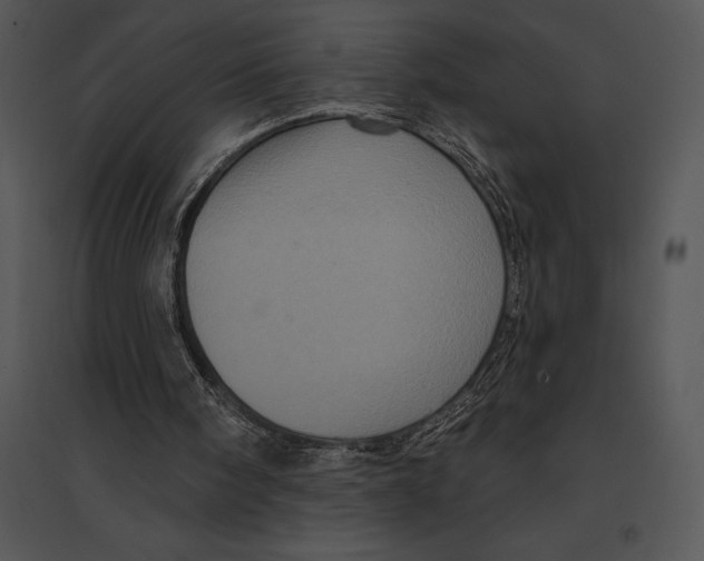 X0000095530098200801041255