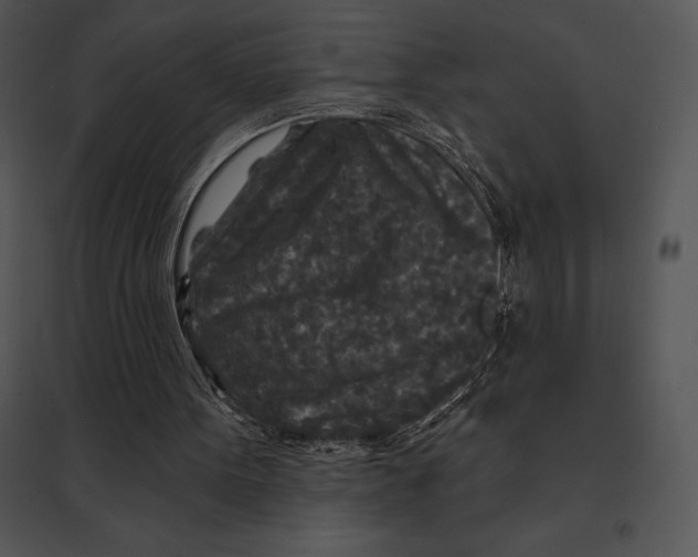 X0000095530099200801041255