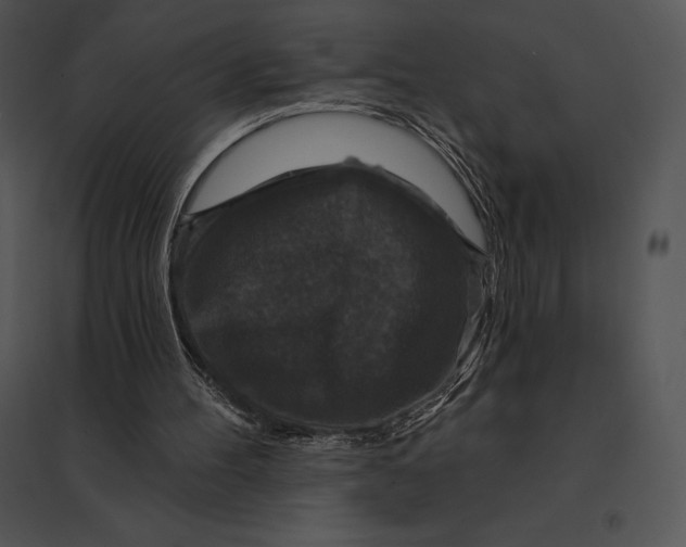 X0000095530100200801041255