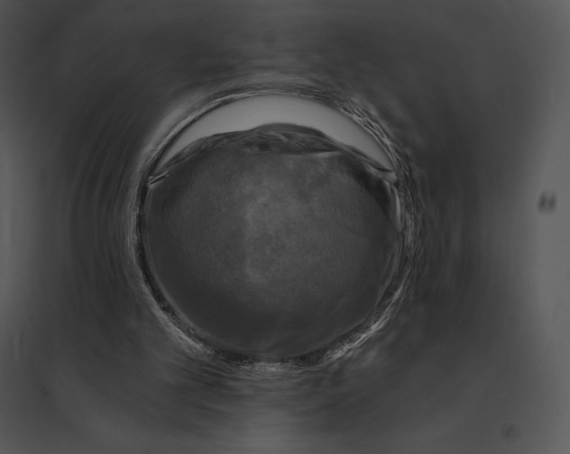 X0000095530101200801041255