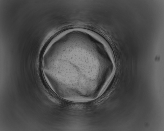 X0000095530102200801041255