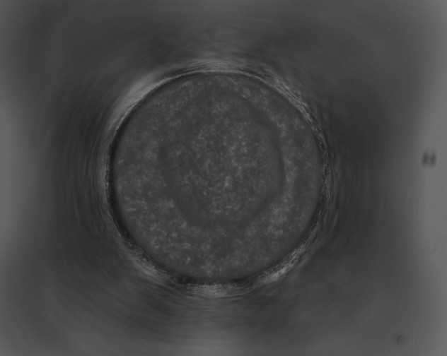 X0000095530103200801041255