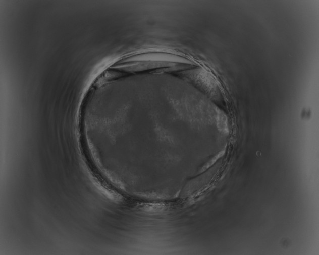 X0000095530104200801041255