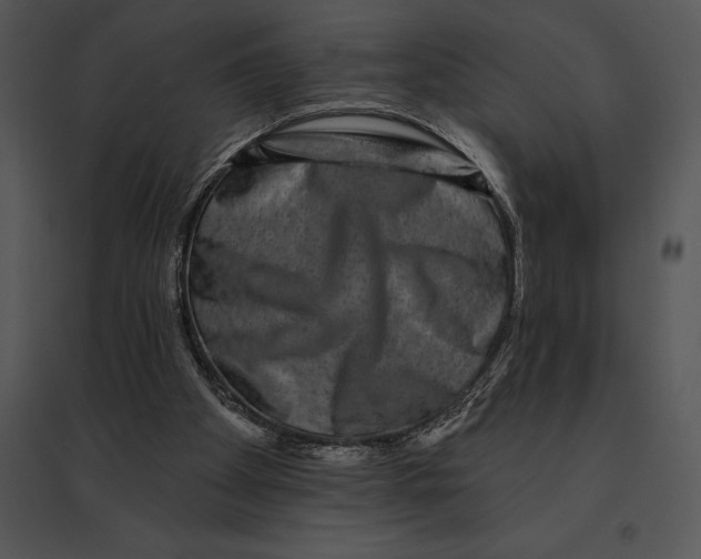 X0000095530105200801041255