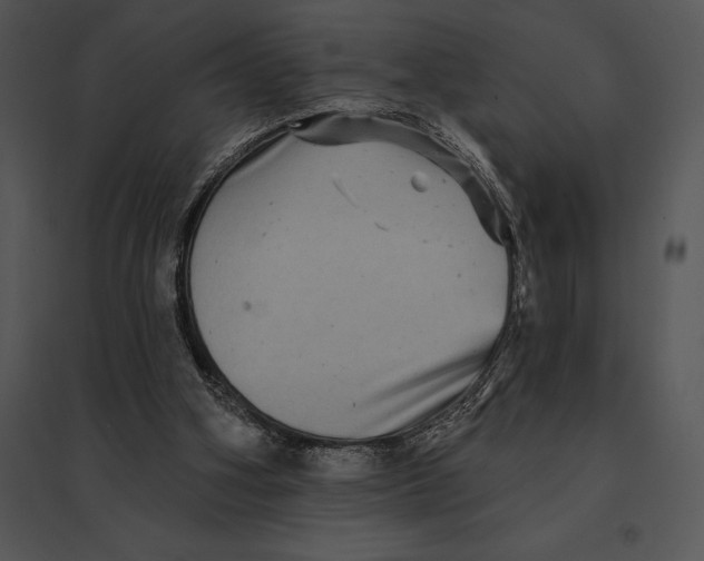 X0000095530106200801041255